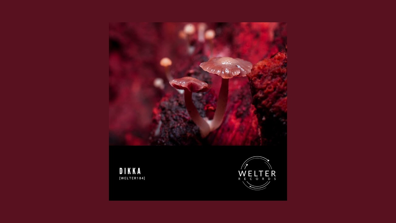 DIKKA - Mind And Cosmos [WELTER184]