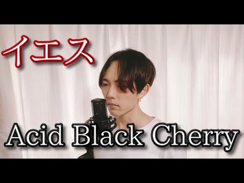イエス/Acid Black Cherry [歌ってみた]