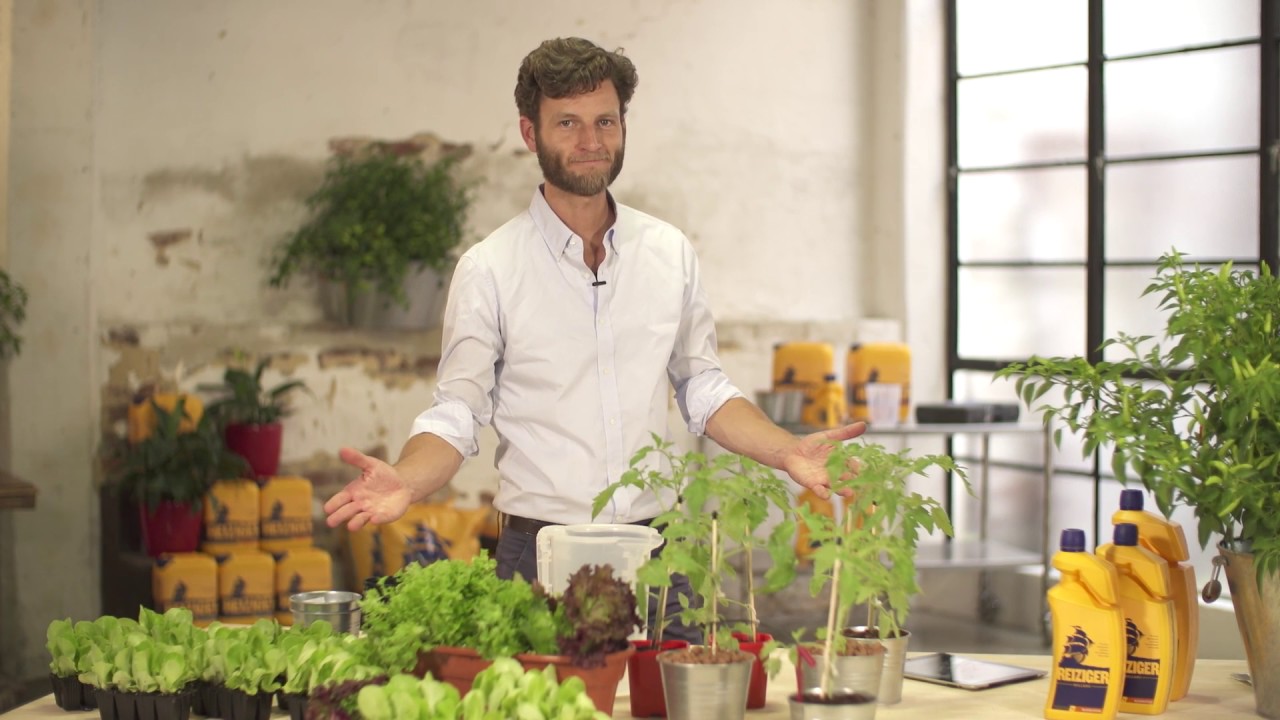 Reiziger TV Episode 6 - Master the Craft of Hydroponics.