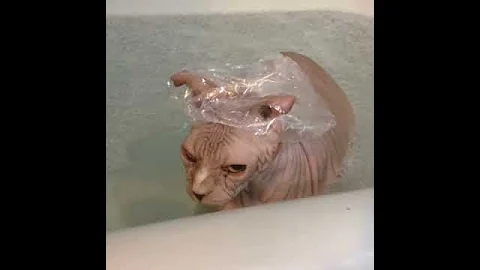 Watch the video about Bath times vibes