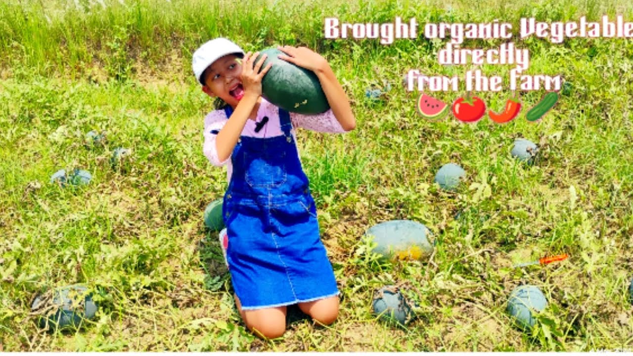 Brought organic Vegetables directly from the farm 🍉🍅🌶️🥒 - YouTube