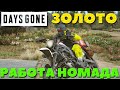 Days Gone(Жизнь После) - Золото! Работа Номада!