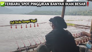 Terbaru Spot Mancing Pinggiran Banyak Ikanyarekomendasi Spot Mancing Ikan Babon Terbaru