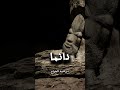 أياك أن تقرأ الآيه بهذه الطريقه