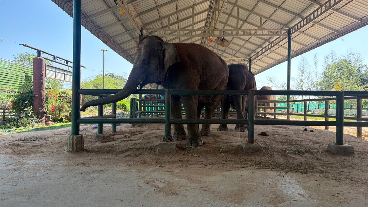 ตื่นเช้า