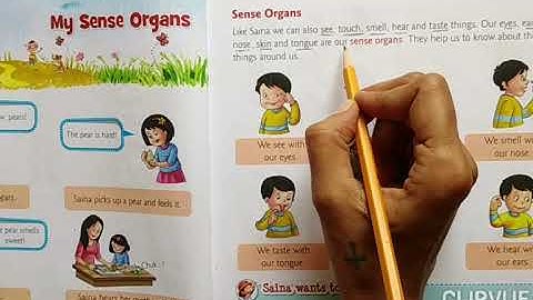 EVS GRADE-1 CH-3 MY SENSE ORGANS PART-1