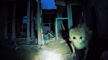 I Spent 24 Hours in Pripyat