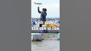 🦐🦀 Vận chuyển thủy hải sống bằng đường hàng không #cargo #aircargo