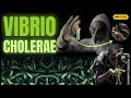 Vibrio cholerae - Symptoms, Diarrhea &amp; Rapid Death Risk | Microbiology Animated Series