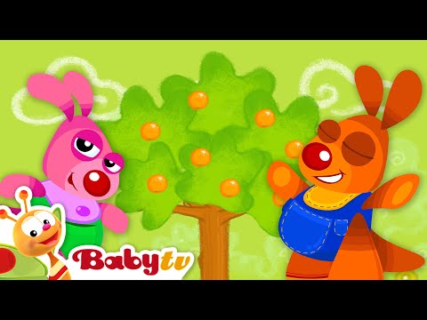 Orange Tree 🍊​🌳​ Guessing Games with Kenny & Goorie 🦘 | Cartoons for Kids @BabyTV