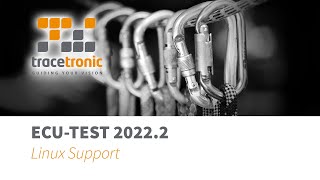 ecu.test Linux Support
