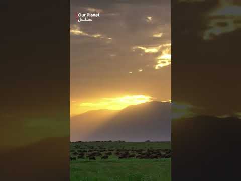مشاهد الغروب تسعدني