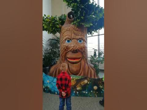 говорящее дерево - YouTube