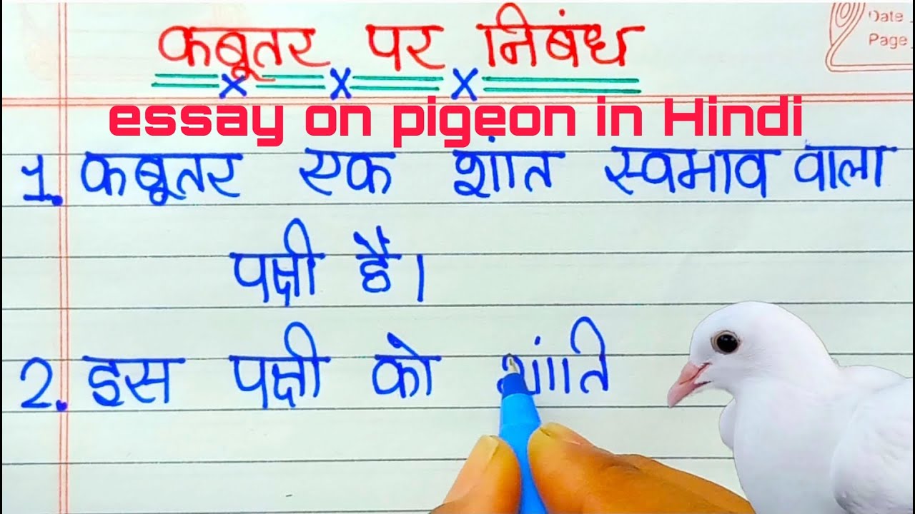 कबूतर पक्षी Kabutar ke Bare Mein Bataiye ! Kabutar ke bare me hindi