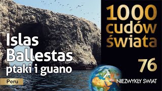 1000 cudów świata - Islas Ballestas / ptaki i quano - Peru - 4K