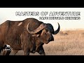 Masters of Adventure | Cape Buffalo Hunting | John X Safaris