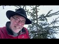 Tree Planting Challenge