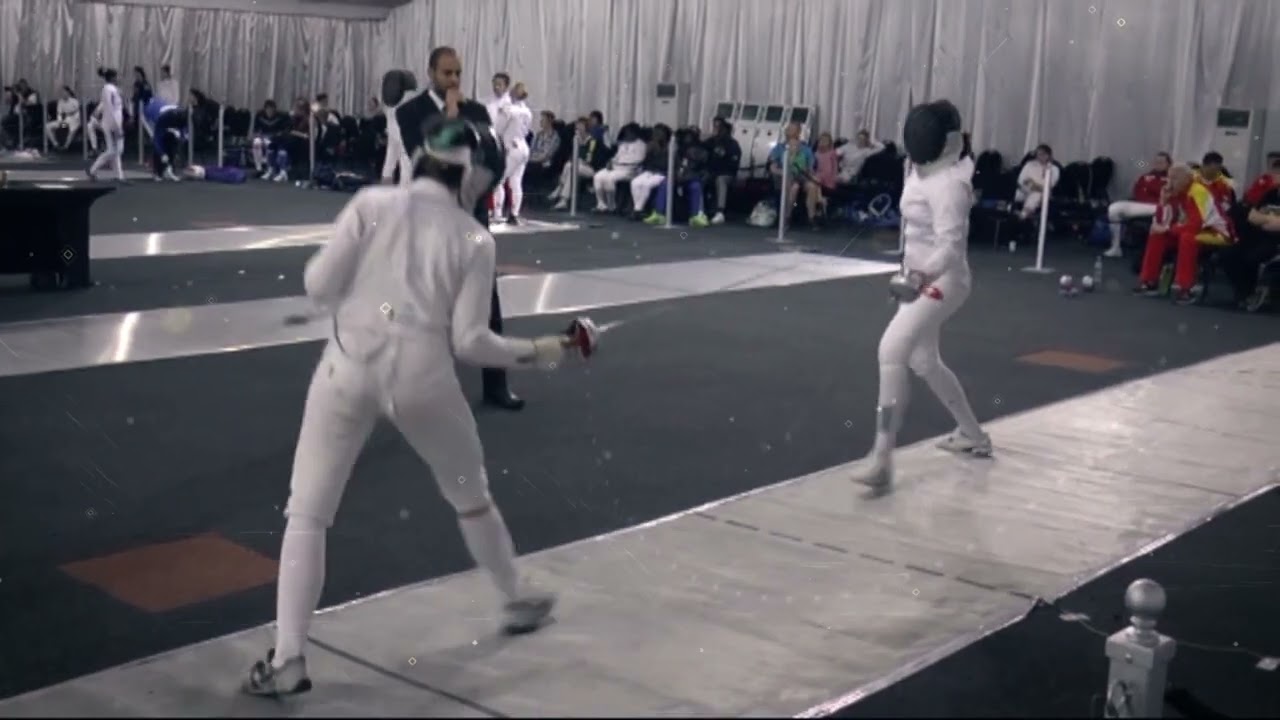 fencing piste