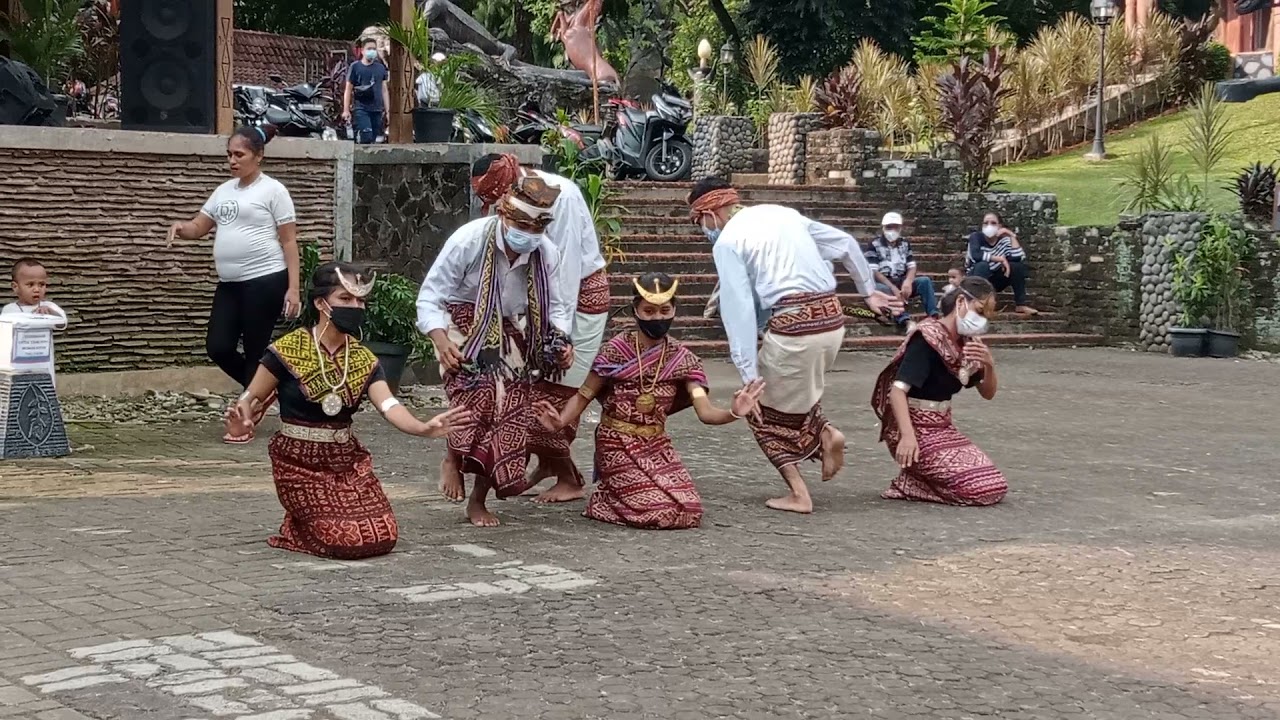 Tarian Rabeka | Amarasi |