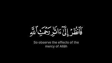 فانظر إلى ءاثار رحمت الله كيف يحيي الارض بعد موتها 🌿| ياسر الدوسري - سورة الروم | قران شاشة سوداء 🥀