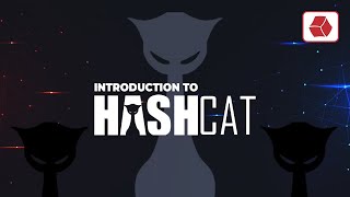 How to use Hashcat Tutorial 2024