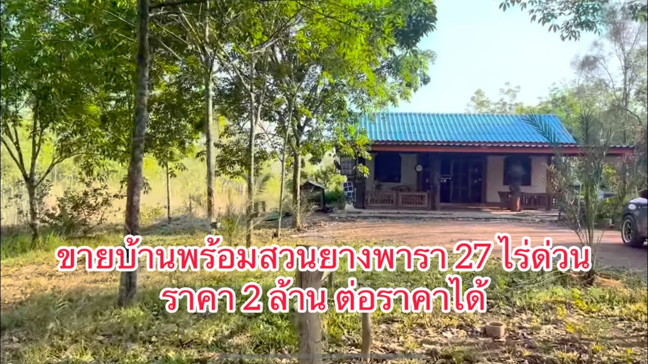 ขายบ้านพร้อมสวนยางพารา 27 ไร่ด่วน สุวรรณคูหาหนองบัวลำภู