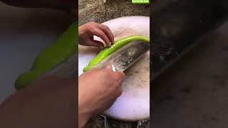 🌶️🔪 Trimming Fresh Green Chilies On A Well-Worn Board