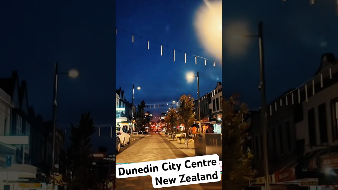 Driving Through Dunedin at Night | Winter Drive in New Zealand’s Southern City . 