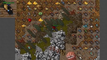 HUNT ROSHAMUUL TEAM TIBIA