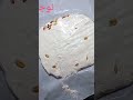 باقي طريقة عمل النوجا في البيت نها فود