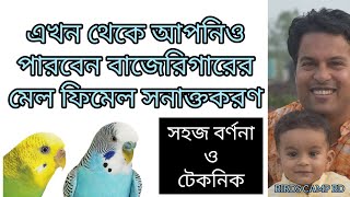 বাজেরিগার মেল ফিমেল নির্ণয় | ছেলে মেয়ে পাখি সনাক্তকরণ | Budgie Male Female | Budgie Breeding Tips-23
