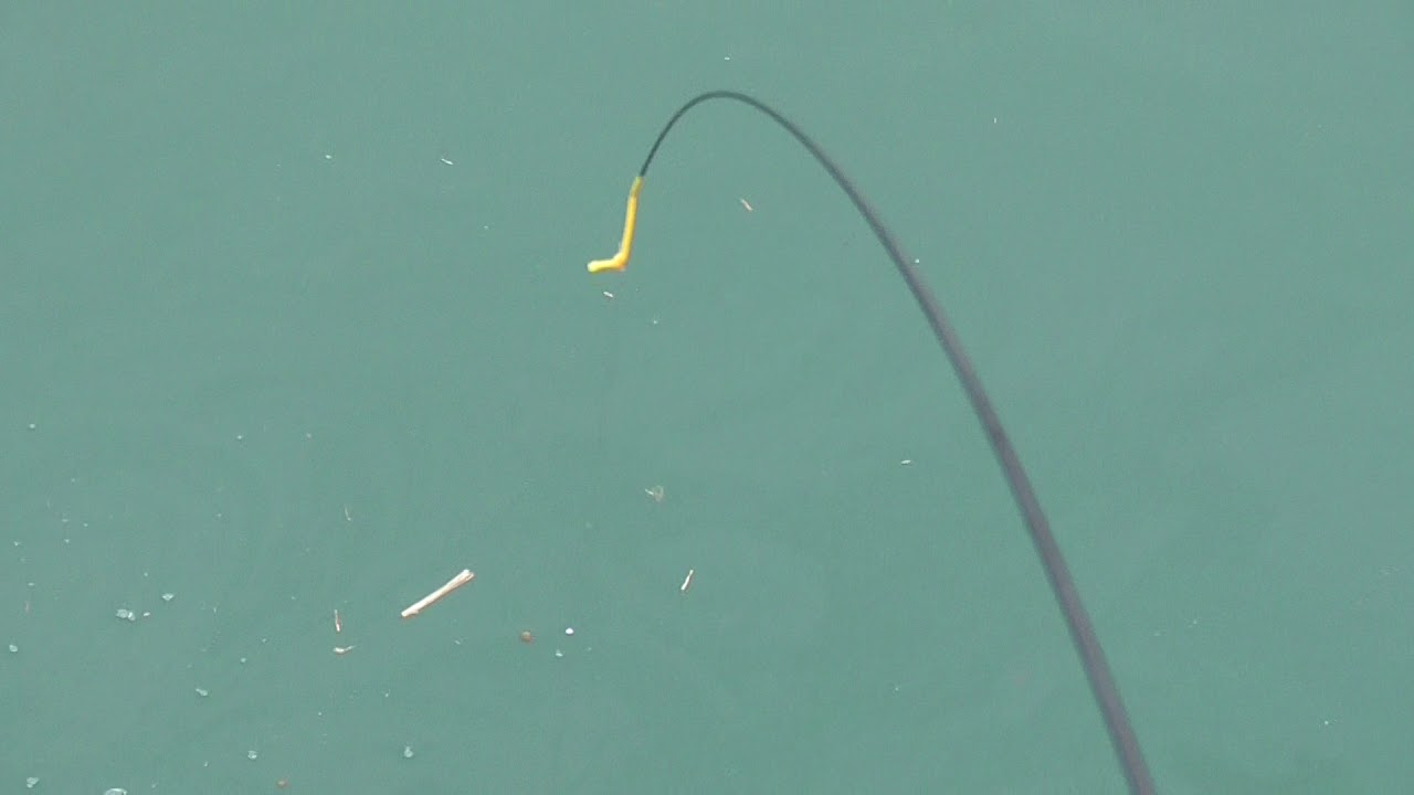 5月1日 天皇の即位の日 も爆釣のサビキ釣り エサなしでもすぐにヒット 釣太郎ブログ