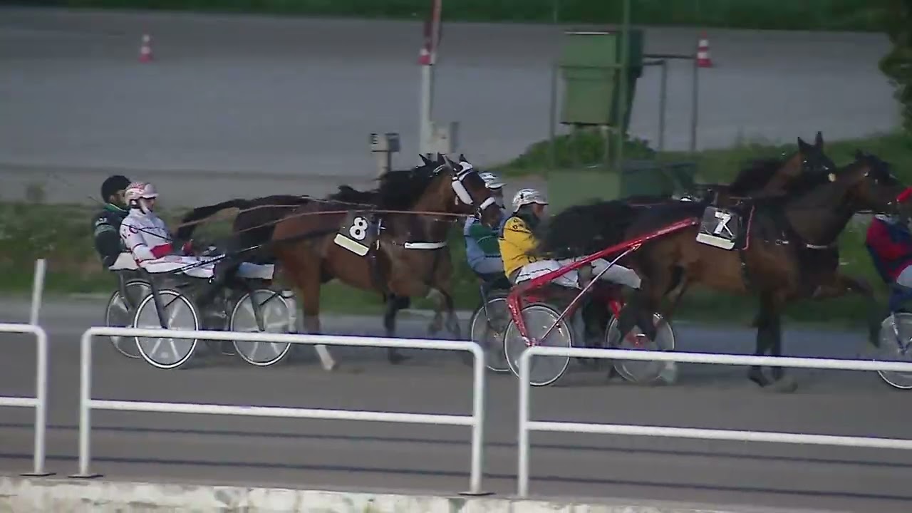 Napoli Trotto 06/03/2026 - 8ª corsa