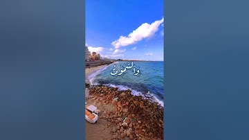 قرآن كريم بصوت الشيخ عبدالرحمن مسعد :حالات واتس دينيه