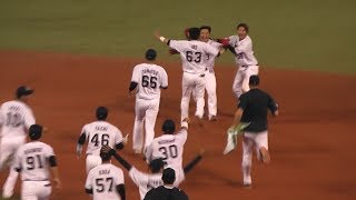 20170623ヤクルトｖｓDeNA 武内晋一サヨナラ安打