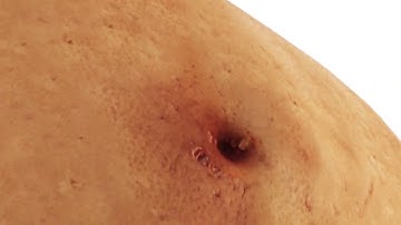 Create vegetables cooking show intro - Best Intros & Outros service