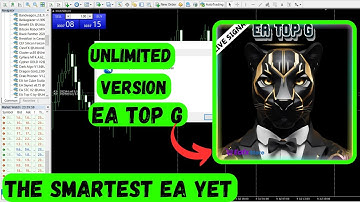 EA Top G v1.0 MT4 | Aggressive Forex Trading Bot | MT4 Expert Advisor for Fast Gains