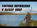 Тактика кормления  и выбор кобры для рыбалки.