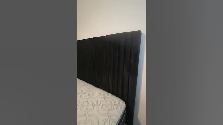 Styles Queen Size Black Velvet Platform Bed. LDH Furniture. Shop