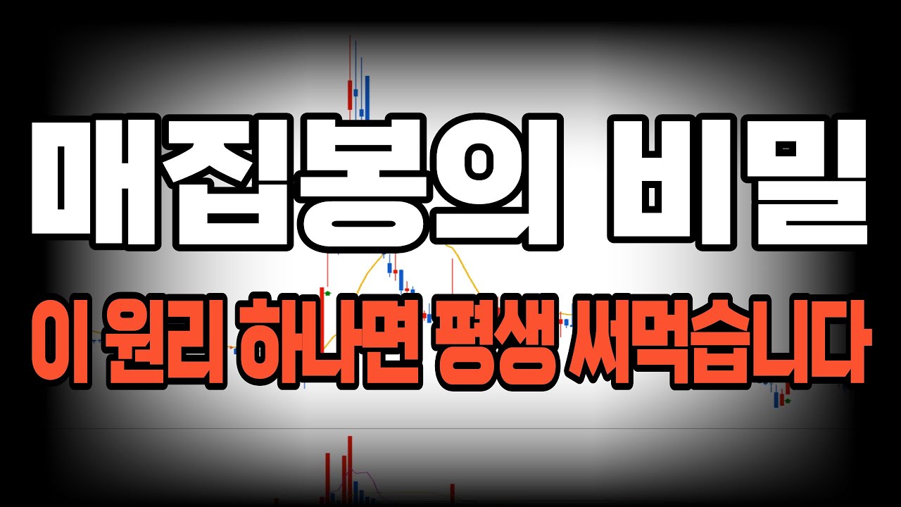 아무도 알려주지 않았던
