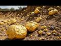 I Found a Field FULL of Gold Nuggets… You Won’t Believe This!