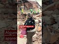 "Quedé tapiada y mis vecinos me rescataron"