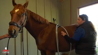 College of Central FL Equine Field Day
