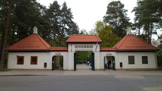 Рижский Зоопарк. Лучшее / Riga Zoo. The Best.