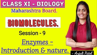 Class XI Biology - Biomolecules- Enzymes : Introduction and Nature. screenshot 5