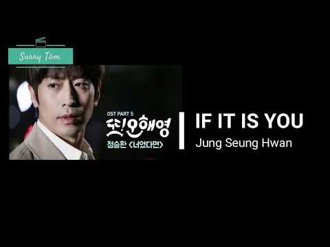 [ENG/VIET/KOR] 정승환 Jung Seung Hwan – If It Is You 너였다면 Oh Hae Young Again OST | LYRIC VIDEO