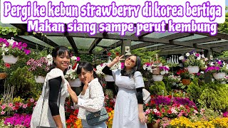 PERGI KE KEBUN STRAWBERRY DI KOREA BERTIGA || MAKAN SIANG SAMPE PERUT KEMBUNG