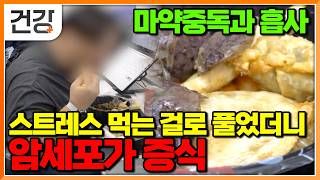 “마약 중독과 똑같다” 뇌를 속여 끊을 수 없는 단맛의 늪, 결국 암세포까지 증식시킨 식습관의 경고｜명의｜#EBS건강