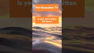 10 Hours of Ocean Sunset Piano for Cats &amp; Kittens | Relaxing Calm Music