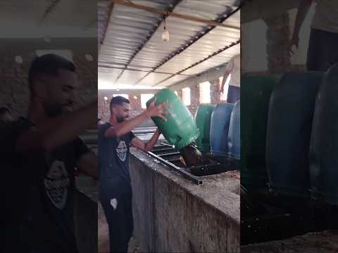 ضحك وهزار علشان الشغل يمشي اوعى تفكر ان المهنه سهله زي منتا شايف لايك وشتراك ليصلك كل جديد عسل اسود